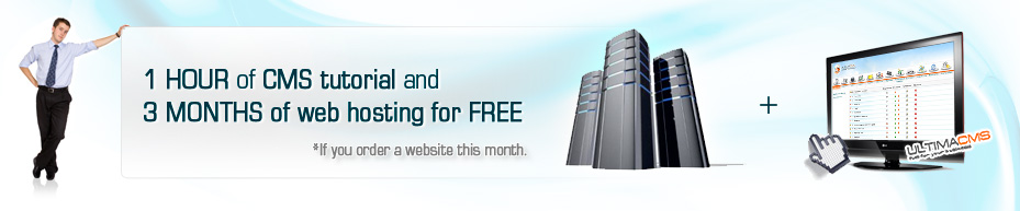 Web hosting and support